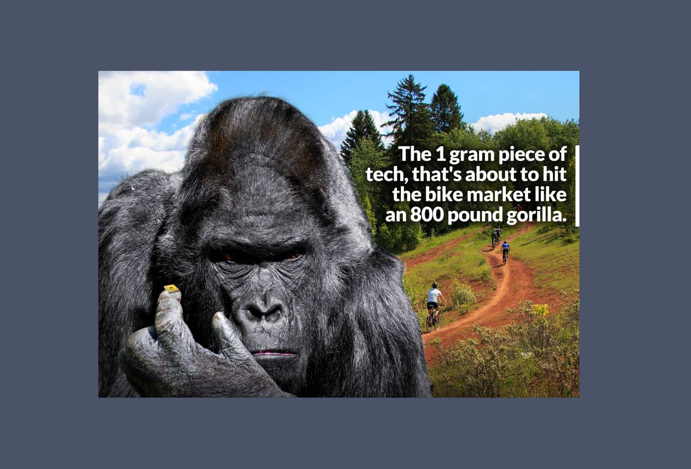 Tech-Anzeige mit einem launischen Gorilla